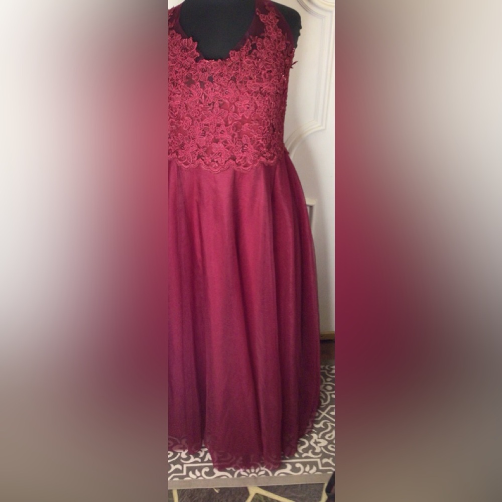 Elegant Crimson lace & net gown Size 14